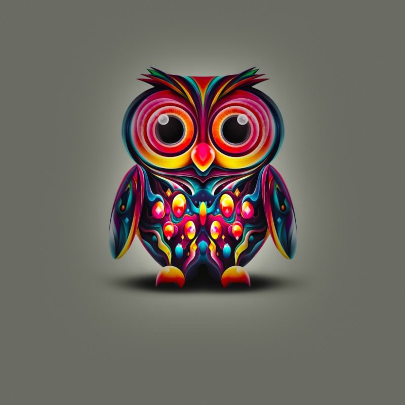 portfolio-3