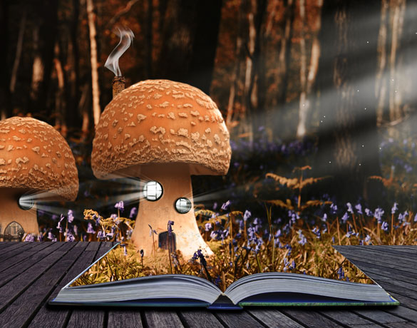 portfolio image