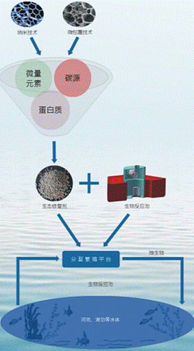 纳米技术及微包覆技术 微生物.gif