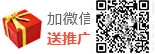 加微信·送网站