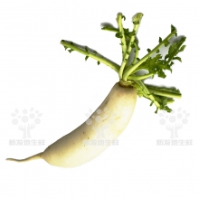 冬枣